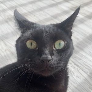 Meet your Posher, Kevin